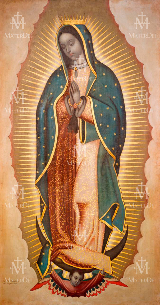 LIENZO CANVAS DE LA VIRGEN DE GUADALUPE